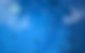 读写分离